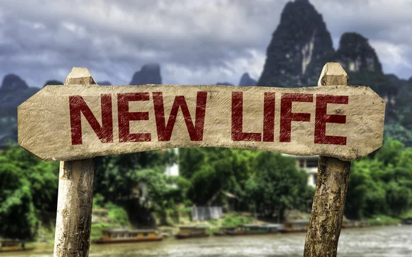New Life sign with a forest — Stock Photo, Image