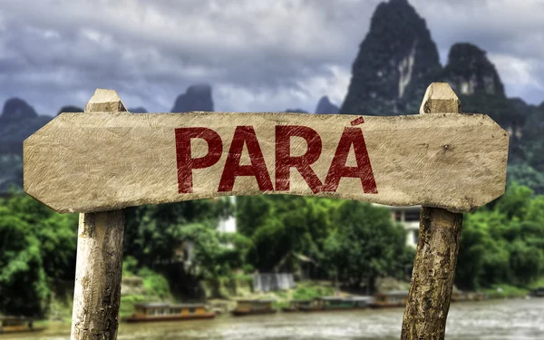 Firma Para (Stato brasiliano) — Foto Stock