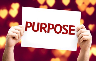 Purpose.Text kartı
