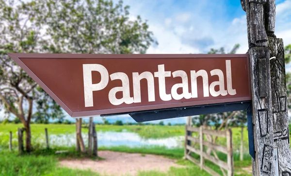 Pantanal wooden sign — Stock Photo, Image