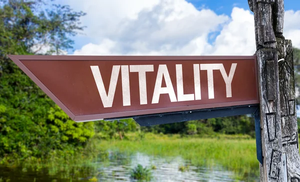 Vitalität Holzschild — Stockfoto