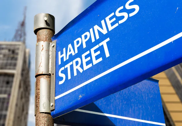 Happiness Street sign — Stock Photo, Image