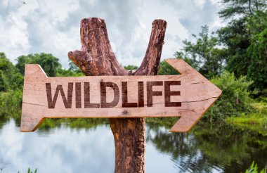 Wildlife wooden sign clipart