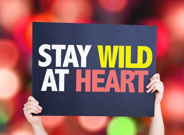 Карта Stay Wild At Heart — стоковое фото