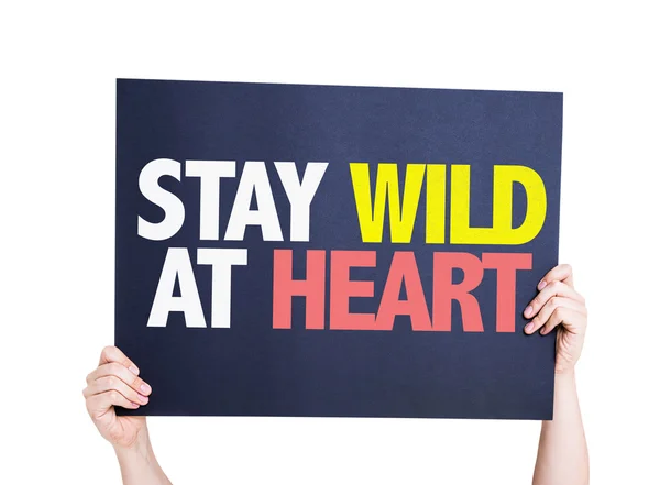 Карта Stay Wild At Heart — стоковое фото