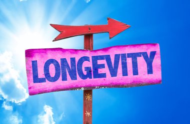 Uzun ömürlü metin işareti