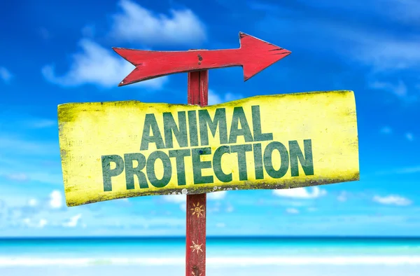 Animal Protection text sign — Stock Photo, Image