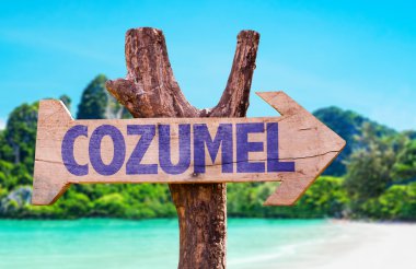 Cozumel wooden sign clipart