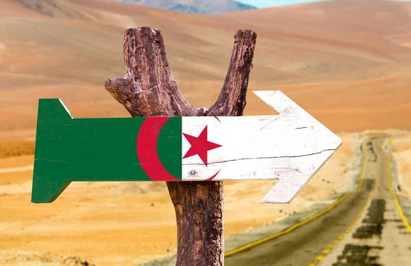 Algeria Flagge hölzernes Schild — Stockfoto