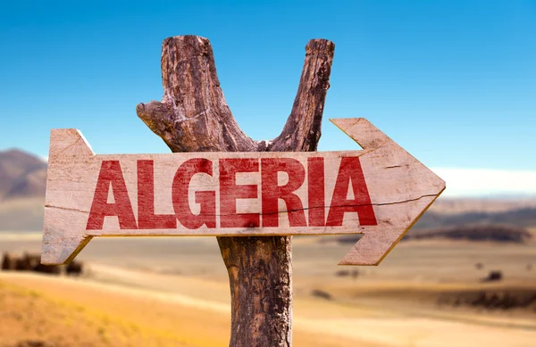 Algeria wooden sign with desert road background — Stock Photo, Image