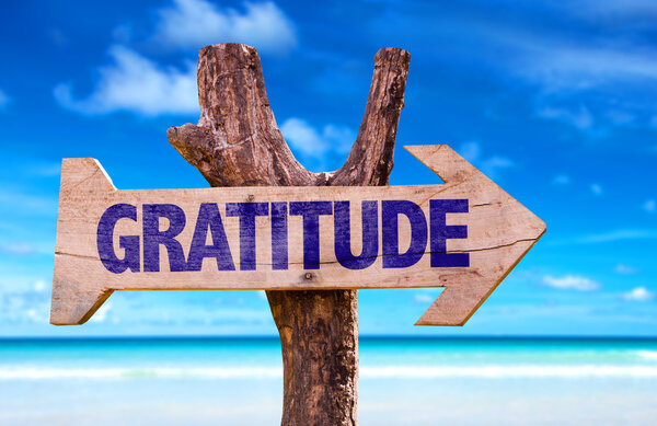 Gratitude wooden sign