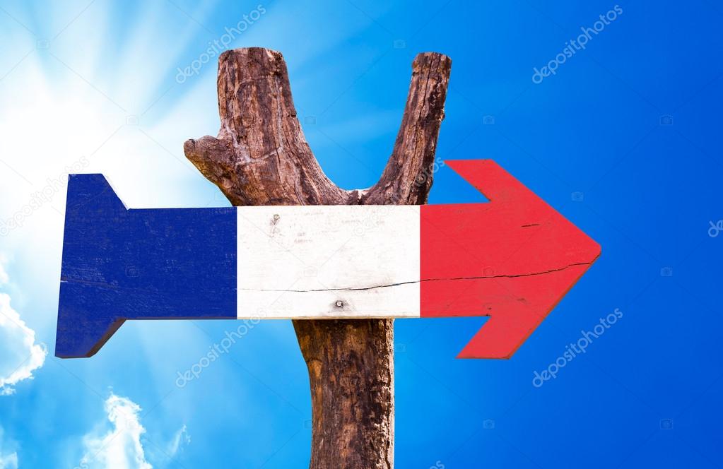 France Flag wooden sign