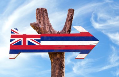Hawaii Flag wooden sign clipart