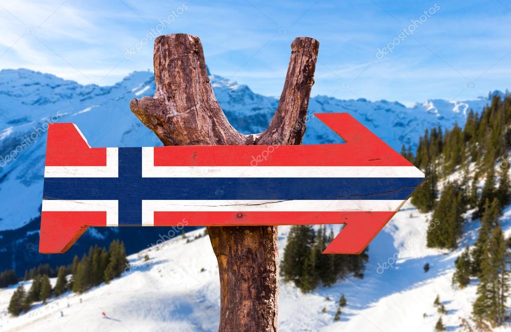 Norway Flag wooden sign