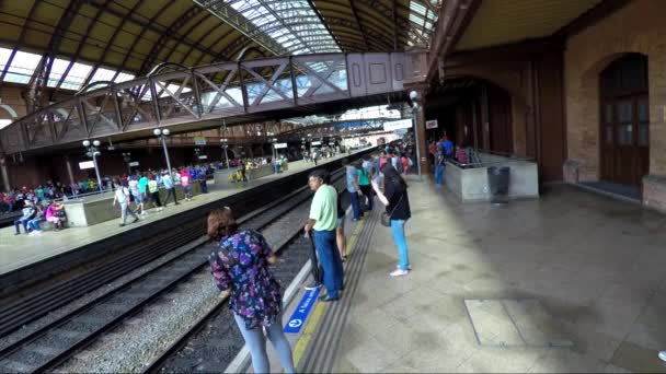 Estación Luz en Sao Paulo — Vídeo de stock