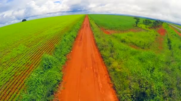Sojový plantáž v Goias — Stock video