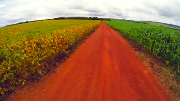 Sojabohnenplantage in Goias — Stockvideo