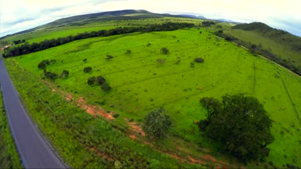 Vegetation i Goias, Brasilien — Stockvideo