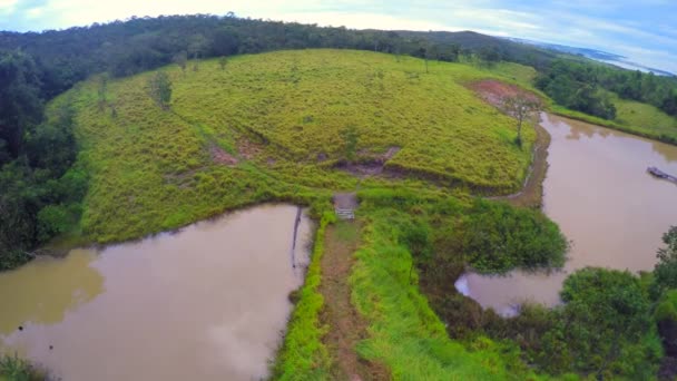 Vegetation in Goias, Brasilien — Stockvideo