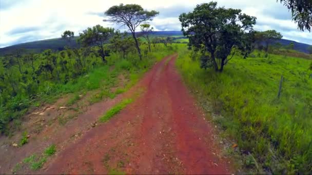 Vegetation i Goias, Brasilien — Stockvideo