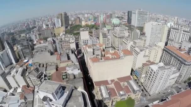 View from Sao Paulo Downtown — Stock Video