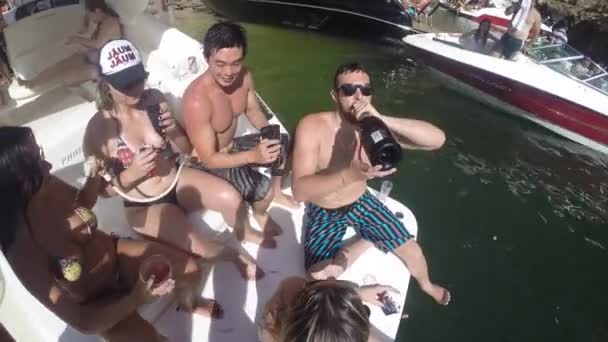 Amigos celebrando el verano — Vídeo de stock