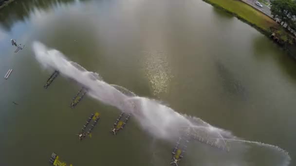 Parque Ibirapuera em São Paulo — Vídeo de Stock