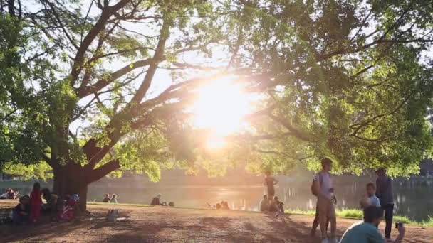 Mensen genieten van de zonsondergang — Stockvideo