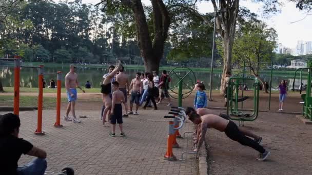 Los chicos están haciendo ejercicio en Park — Vídeos de Stock