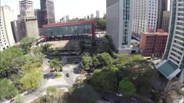 Paulista Avenu à Sao Paulo — Video