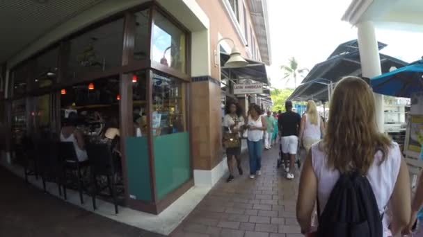 People on the Bayfront Park — Stock Video