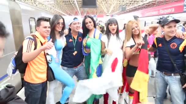 Вентилятори святкувати Кубку світу в Бразилії — стокове відео