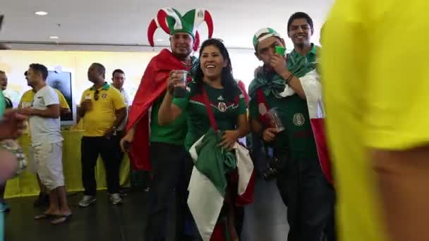 Fans feiern die WM in Brasilien — Stockvideo