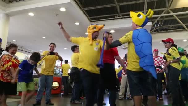 Fans feiern die WM in Brasilien — Stockvideo