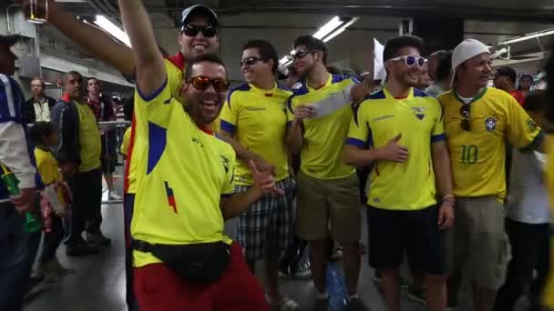 Fans Celebrate the Brazil World Cup — Stock Video