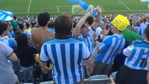 Fãs da Argentina comemoram a vitória — Vídeo de Stock