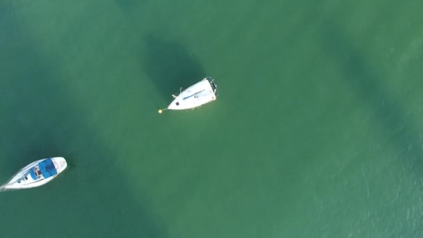 Yelkenli tekneler, havadan görünümü — Stok video