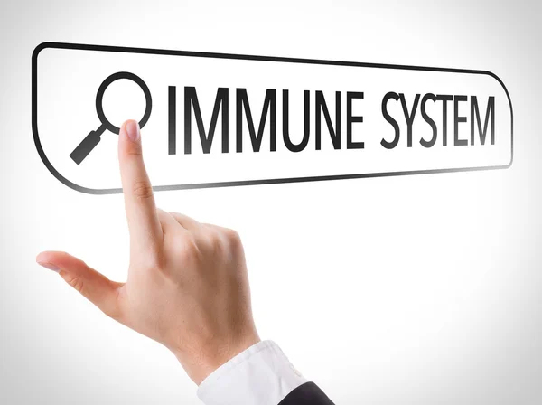 Sistema immunitario scritto nella barra di ricerca — Foto Stock