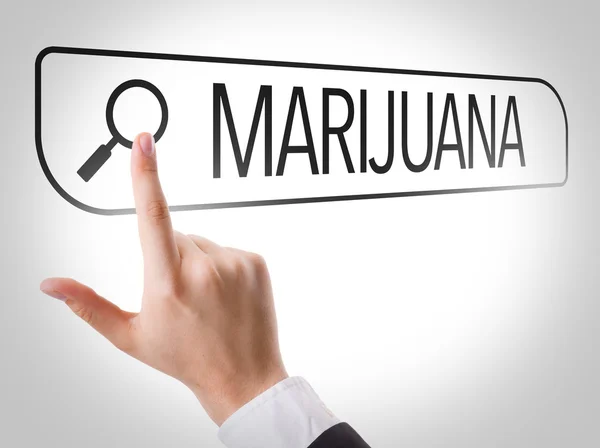 Marijuana written in search bar — Stock Photo, Image