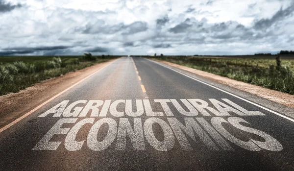 Economia agraria su strada rurale — Foto Stock