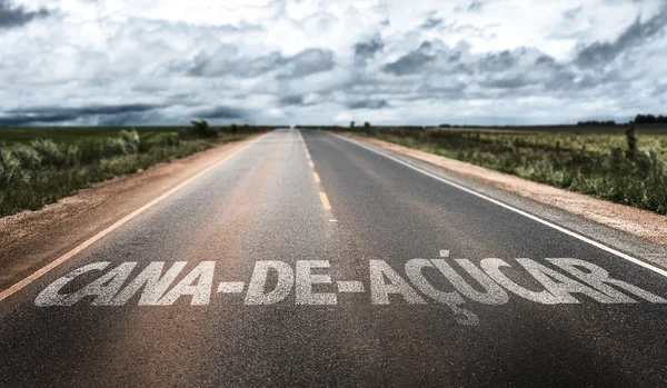 Caña de azúcar en carretera rural — Foto de Stock