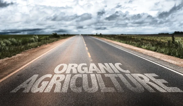 Organic Agriculture on rural road — Stock Photo, Image