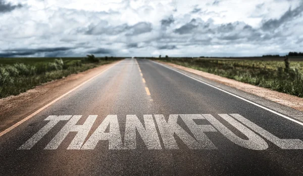 Thankful on road — Stock Photo, Image