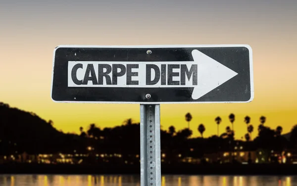 Знак направления Carpe Diem — стоковое фото