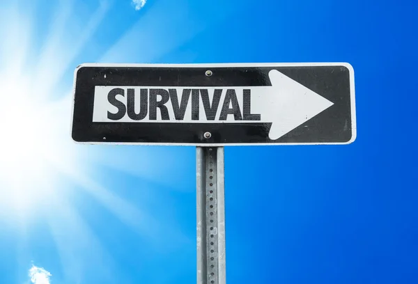 Survival direction sign — Stock Photo, Image