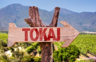 Tokaj ahşap işareti