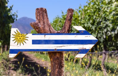 Uruguay bayrağı ahşap işareti