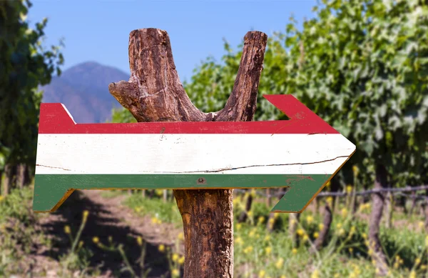 Holzschild mit ungarischer Flagge — Stockfoto