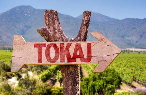 Tokaj Holzschild — Stockfoto