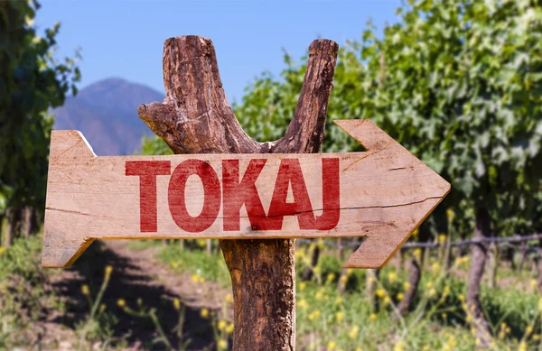 Signo de madera Tokaj — Foto de Stock